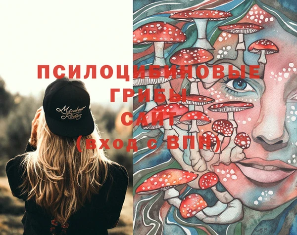 гидра Осташков