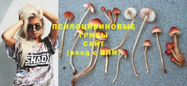 а пвп мука Алзамай