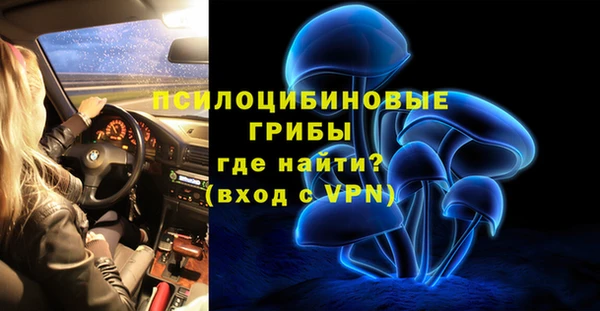 шишки Алексеевка