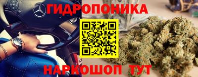 индика Пыть-Ях