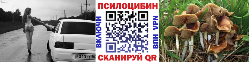 Псилоцибиновые грибы мицелий  Солнечногорск 