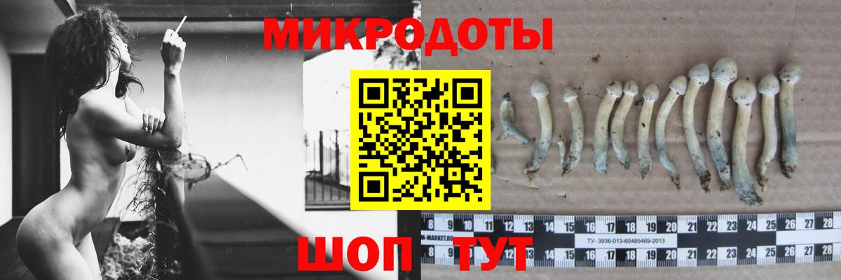 Псилоцибиновые грибы MAGIC MUSHROOMS Солнечногорск